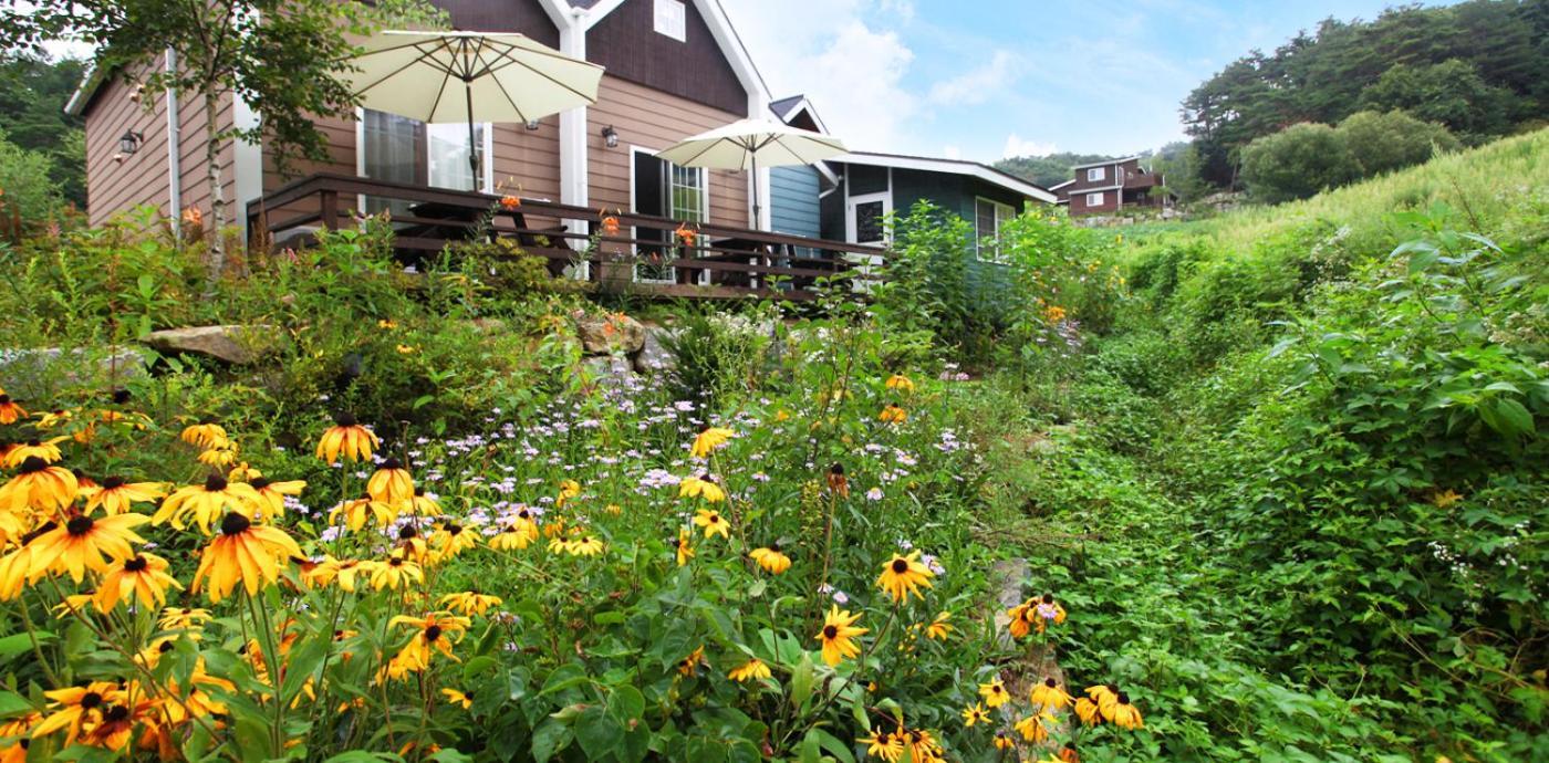 Soop And Soop Pension Pyeongchang Exterior photo